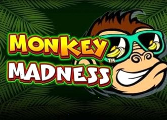monkey-madness slot